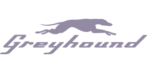 greyhound